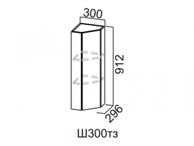 Шкаф навесной 300 торцевой закрытый Ш300тз Вектор СВ 300х912х296